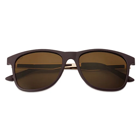  Full Rim Wayfarer Vincent Chase Polarized